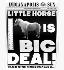 Póster Pequeño caballo es gran cosa. (blanco)