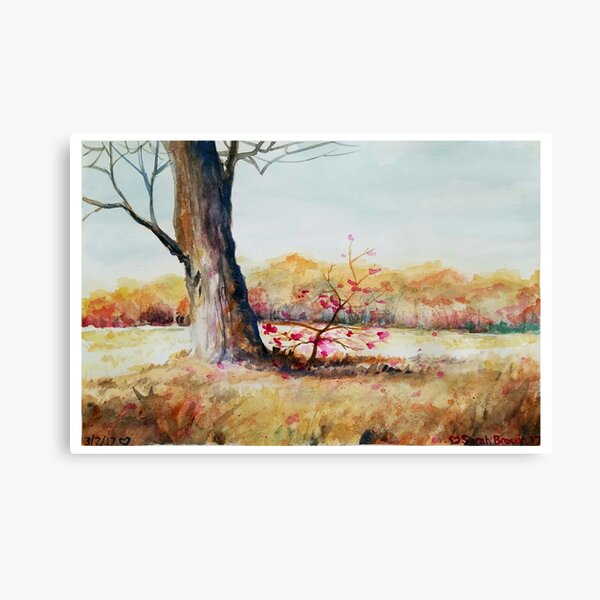 Season's Bloom Canvas Print