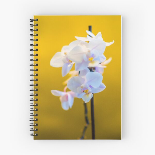 Item preview, Orchid designed and sold by Pegic.