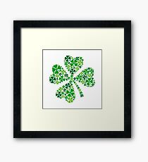 lucky four-leaf clover, green shamrock Framed Print
