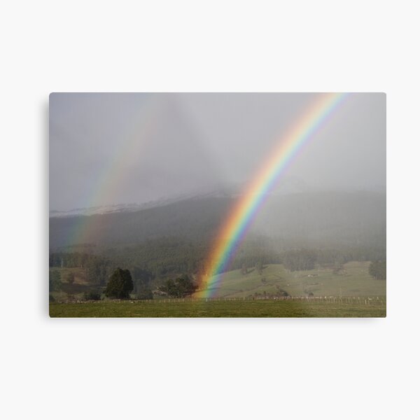 ~ The Rainbow ~ Metal Print