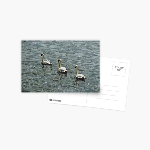 They are NOT cloned Postcard