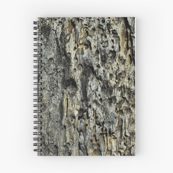 Aperçu de l'œuvre PITTED TREE BARK créée et vendue par kazaroodie.