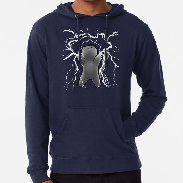 Physics Cat - AnglesAndAcid Lightweight Hoodie