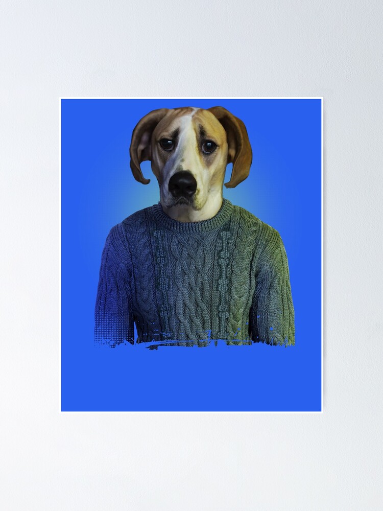 dog wooly jumpers