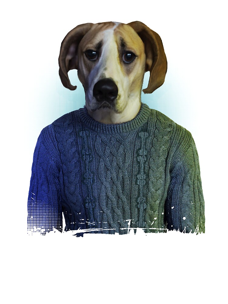 dog wooly jumpers