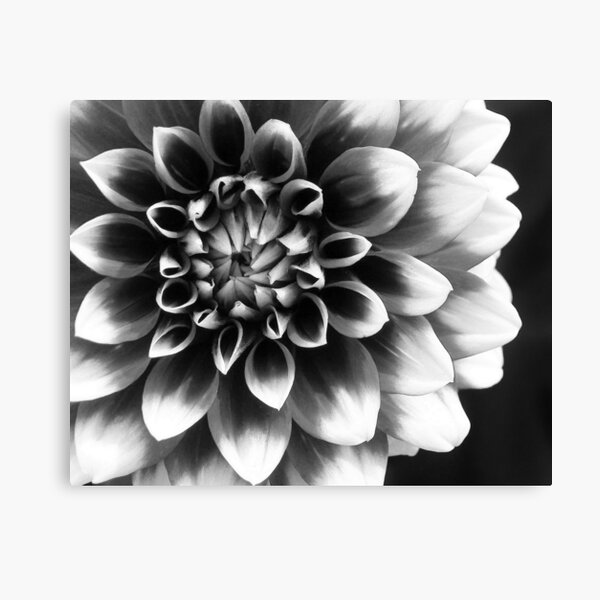 Mad About You Canvas Print