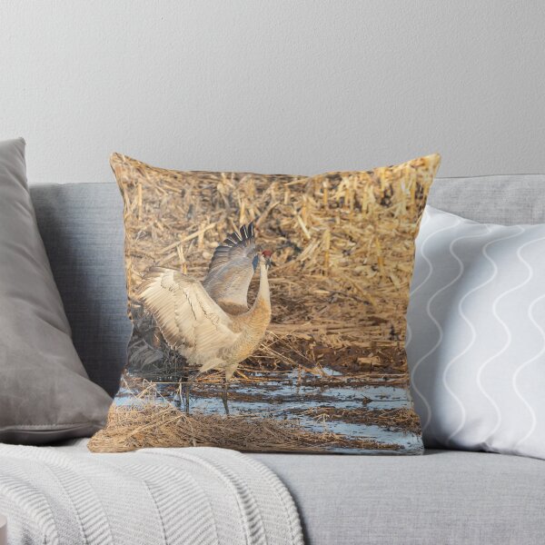 Item preview, Dancing Sandhill Crane 2019-1 designed and sold by Thomasyoung.