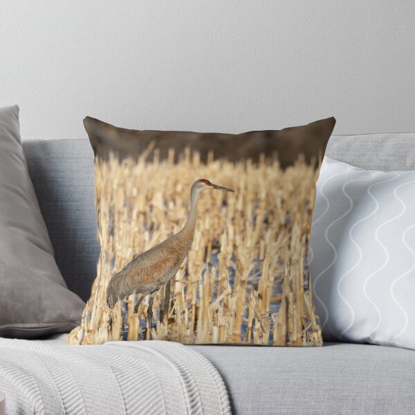 Item preview, Sandhill Crane 2019-1 designed and sold by Thomasyoung.