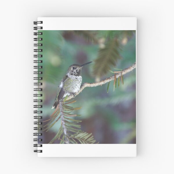 Item preview, Perched designed and sold by Kirstyshots.