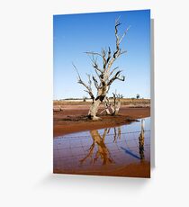 Dead Tree Greeting Card