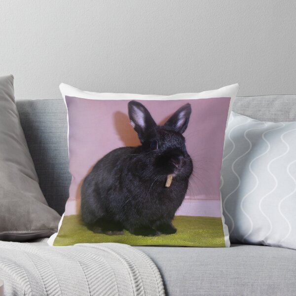 Item preview, Netherland Dwarf designed and sold by Fennic.