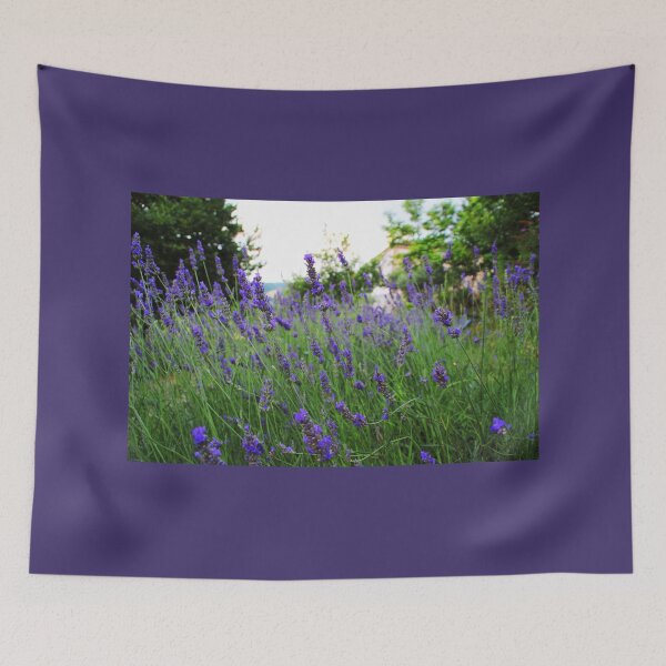 Item preview, A field of fragrant lavender designed and sold by Kristina Drozd.
