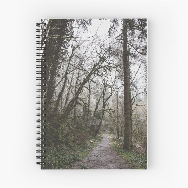 Artikelvorschau, Winterwaldweg - Pacific Northwest Adventure entworfen und verkauft von artcascadia.