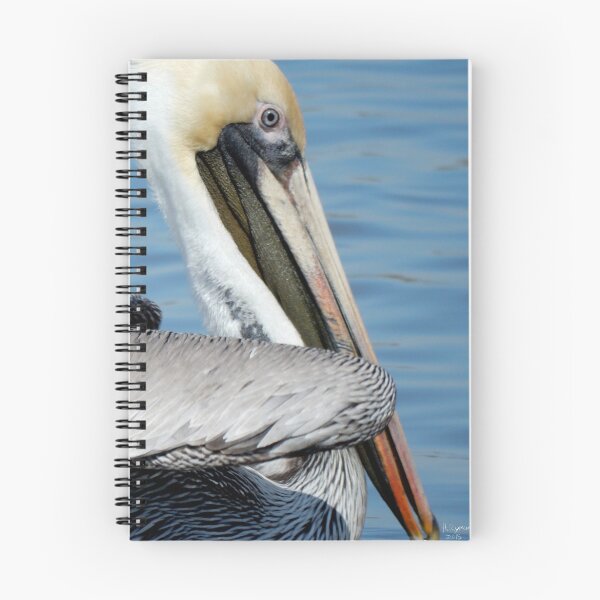 Item preview, Pelican designed and sold by Hannah Ryman.