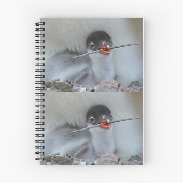 Item preview, Penguin - Gentoo Chick designed and sold by Carole-Anne.
