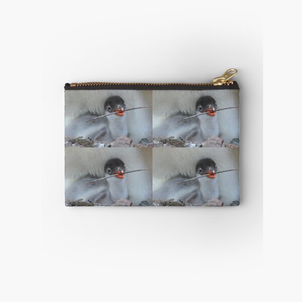 Item preview, Penguin - Gentoo Chick designed and sold by Carole-Anne.