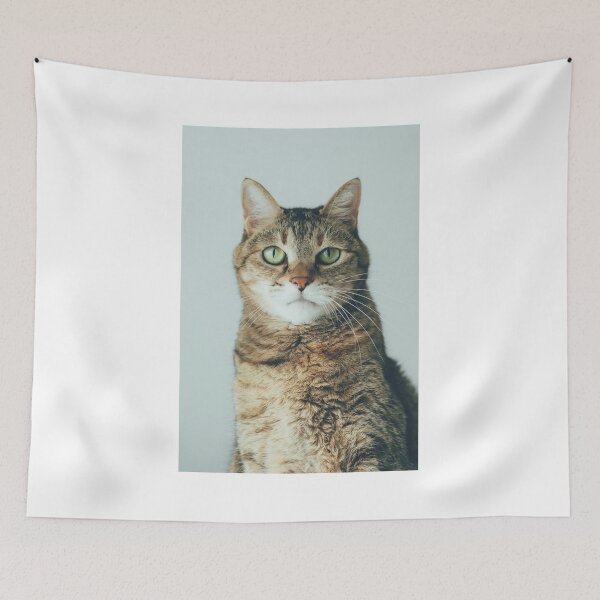 Item preview, cat face designed and sold by janehayl.