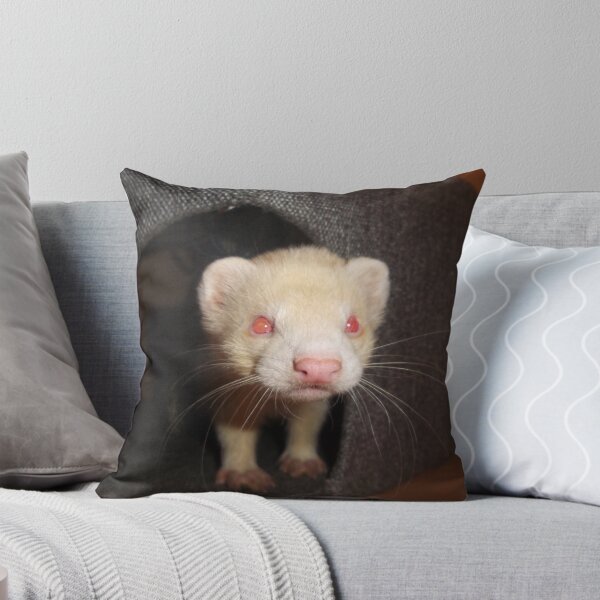 Item preview, Albino Ferret, Macro designed and sold by Fennic.