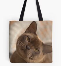 Dreamy Burmese Tote Bag