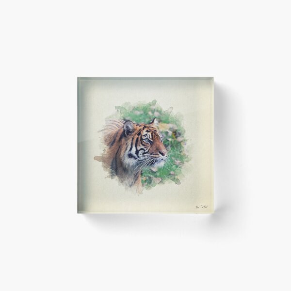 Item preview, Table of Sumatran Tiger designed and sold by Pearcatprod.