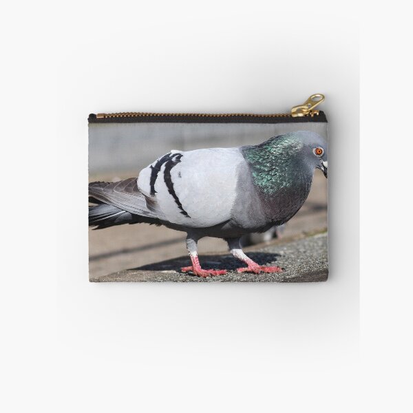 Item preview, Dancing pigeon designed and sold by GreyFeatherPhot.