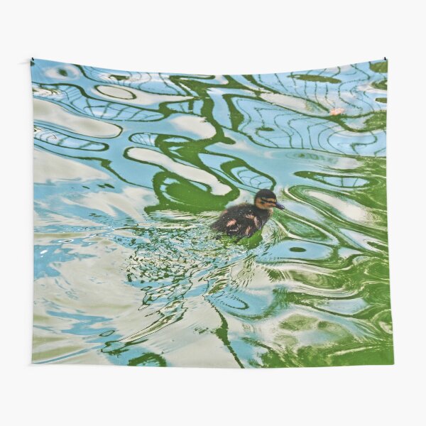 Mallard duckling swimming in a pond Water Reflections Tapestry