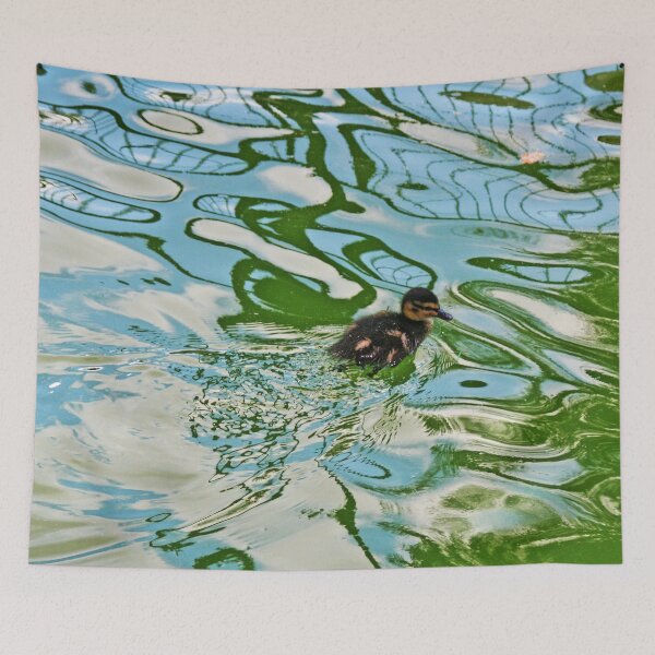 Item preview, Mallard duckling swimming in a pond Water Reflections designed and sold by Anna Lemos.