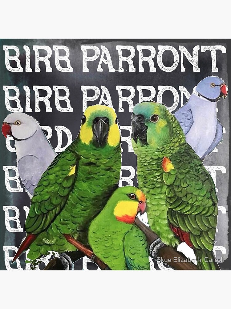 BIRB PARRONT by SkyeElizabeth