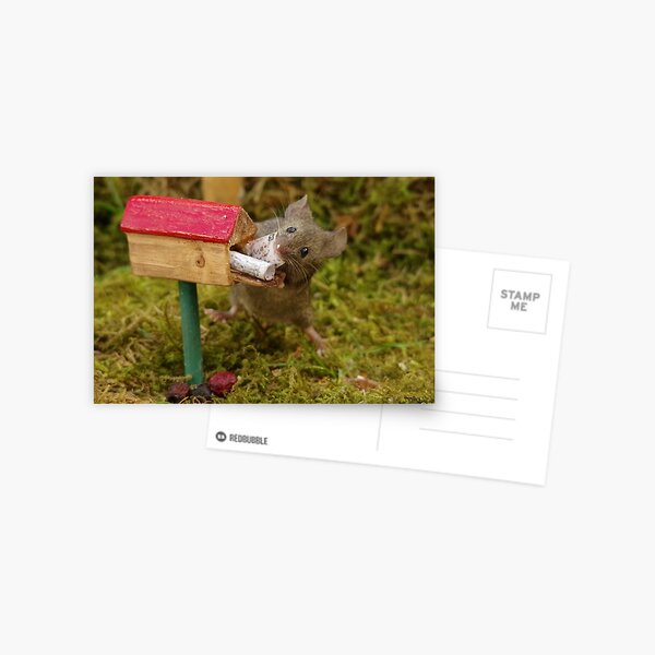 George the mouse in a log pile house - collecting the fan mail Postcard