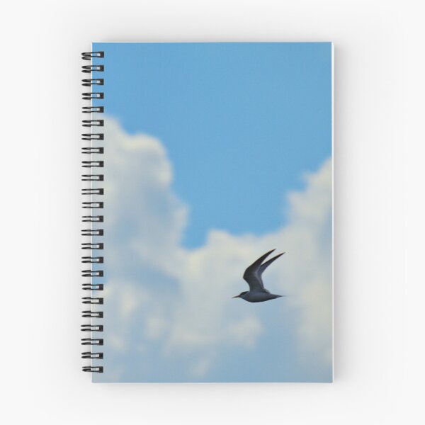 Item preview, Caspian Tern designed and sold by What I See by Dawne.