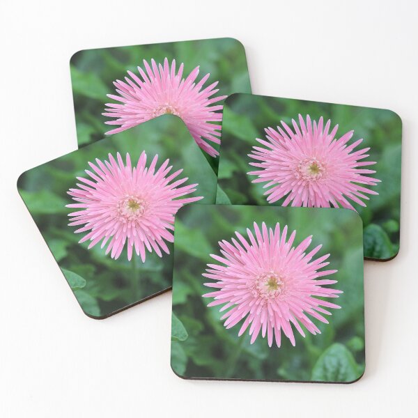 Item preview, Pink Gerbera on Green designed and sold by STHogan2.