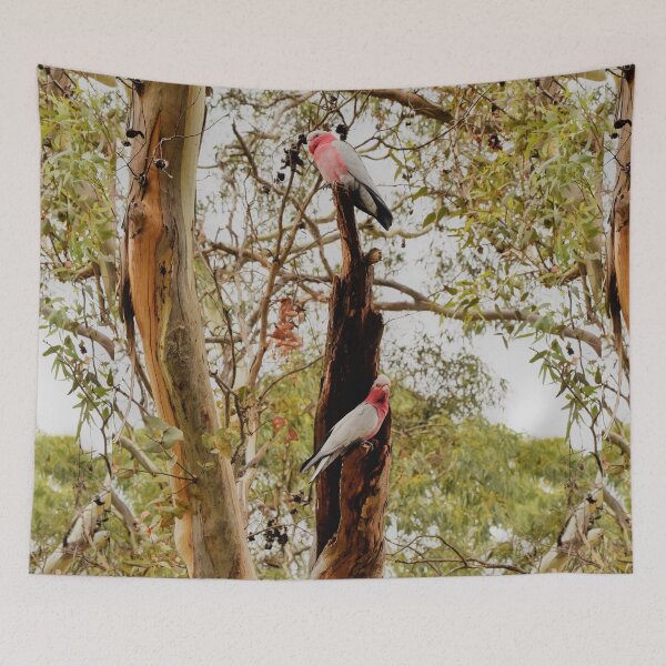 Item preview, Two Galahs Perching designed and sold by imaginethis.