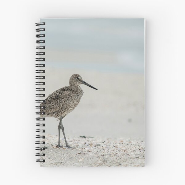 Item preview, Sand piper bird at the beach designed and sold by fineartbyK.