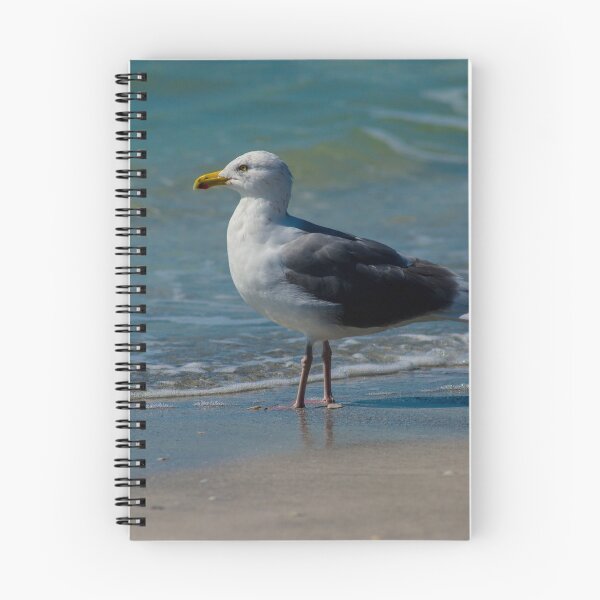 Item preview, seagull at the beach designed and sold by fineartbyK.