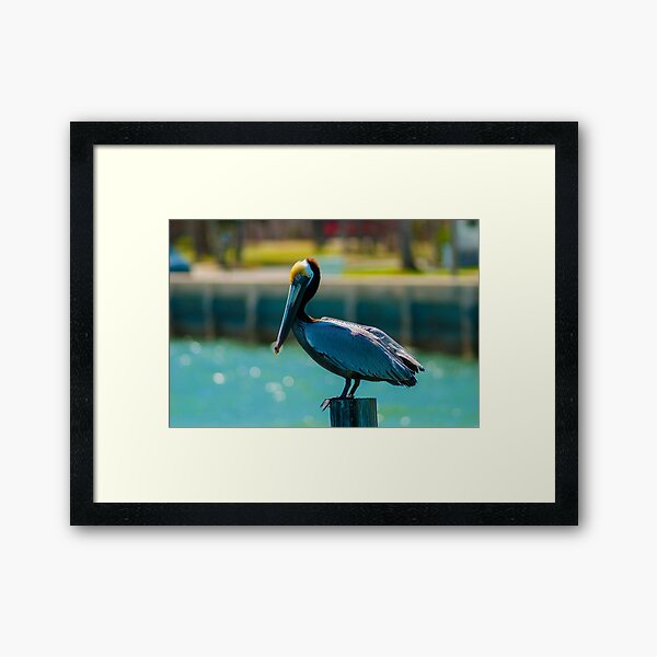 Item preview, Pelican satnding designed and sold by fineartbyK.