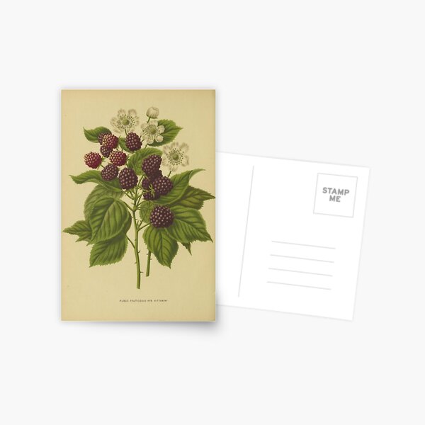 Item preview, Botanical Blackberry designed and sold by BlueSpecsStudio.