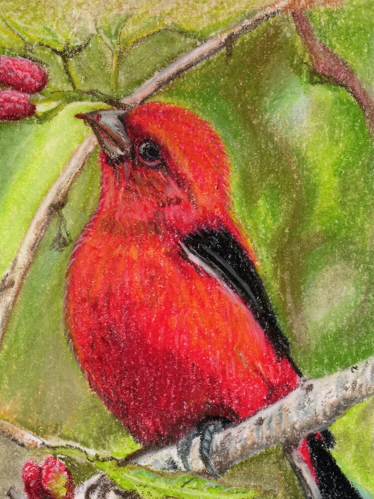 "Raspberries Red Bird Nature Art Scarlet Tanager by Laurie Leigh" T ...