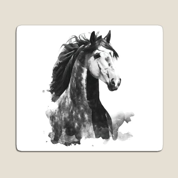 Lusitano horse Magnet