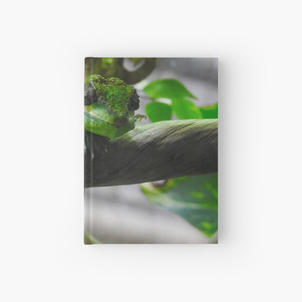 Hardcover Journal