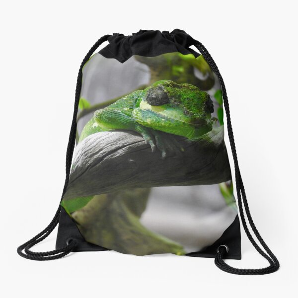 Drawstring Bag