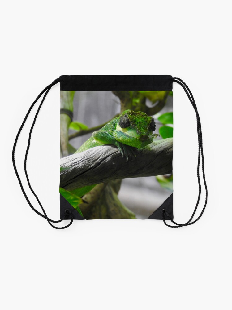 Alternate view of Knight Anole Lizard Drawstring Bag