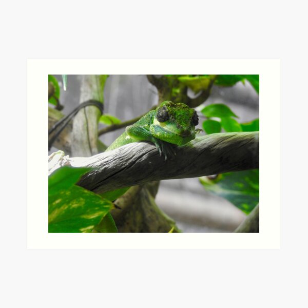 Art Print