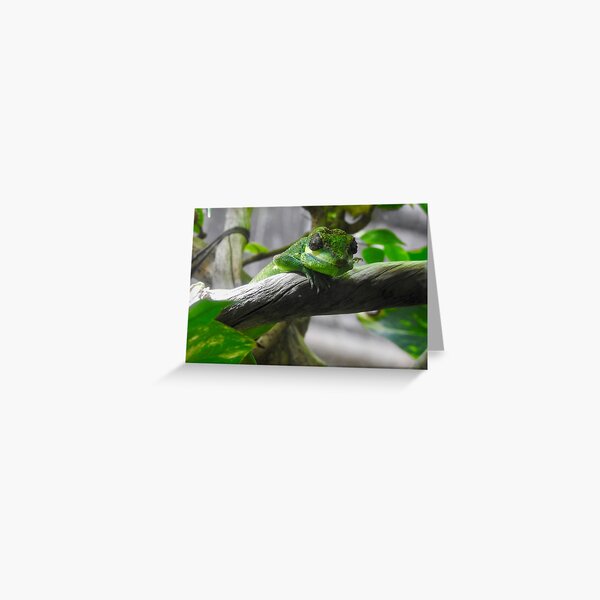 Greeting Card