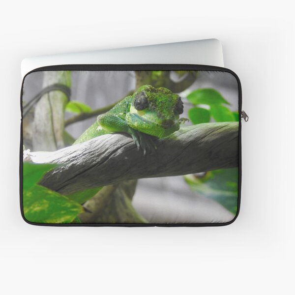 Laptop Sleeve