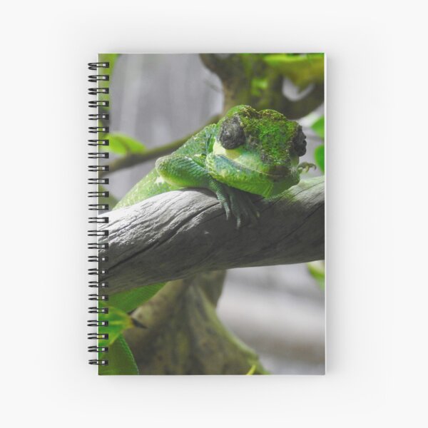 Spiral Notebook
