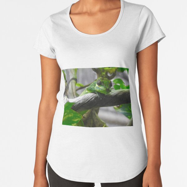 Premium Scoop T-Shirt