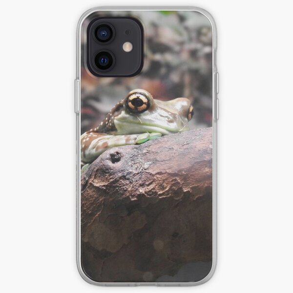 Amazon Milk Frog iPhone Soft Case