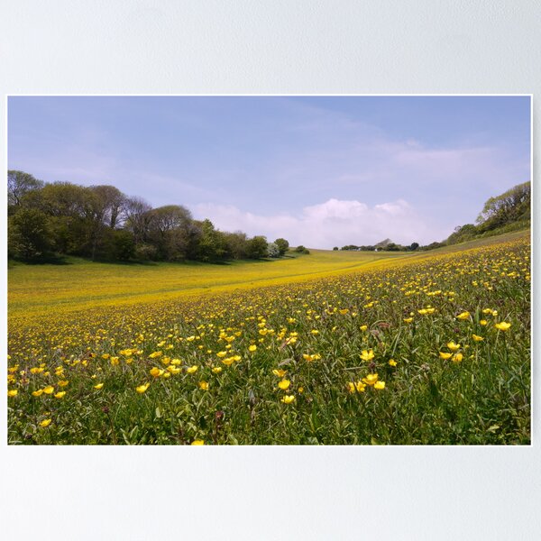 Item preview, East Dean Meadow designed and sold by SAngell.