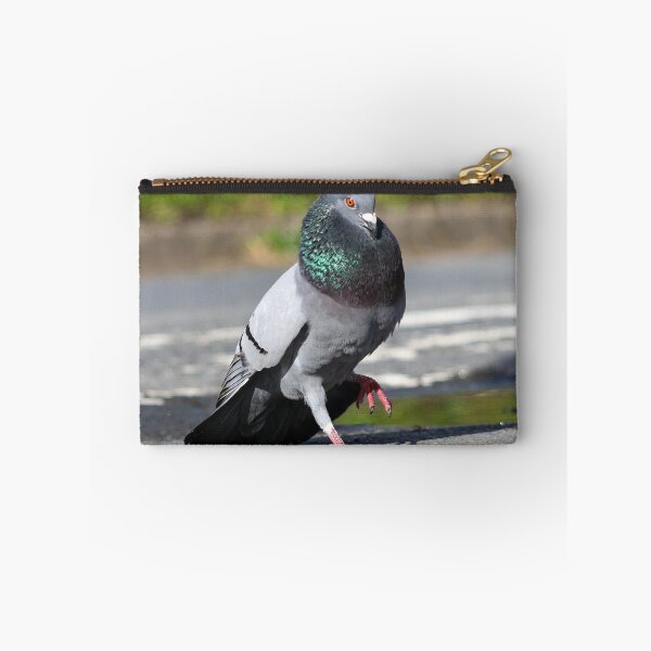 Item preview, Pigeon strut designed and sold by GreyFeatherPhot.